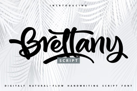 Brettany: A Handwritten Font That Elevates Web Design