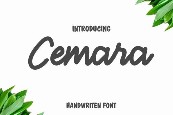 Cemara: The Bold Script Font That Elevates Campaign Typography