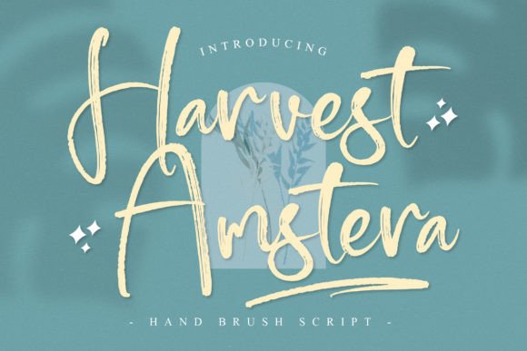Harvest Amstera: A Refined Script Font for Business Branding