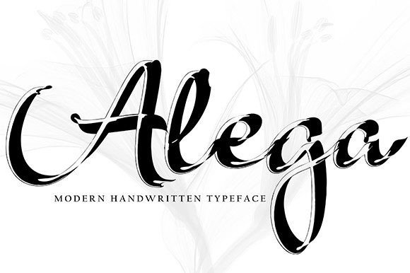 How Alega Font Transformed Our Campaign Visuals with Personality and Clarity