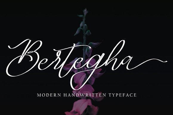 How Choosing the Bertegha Font Transformed My Small Business Branding
