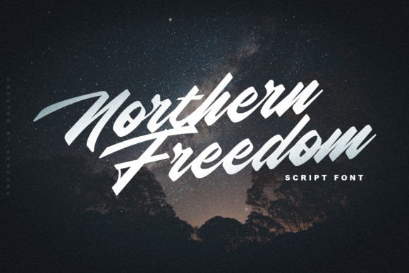 Northern Freedom: A Modern Script Font for Polished Web Design